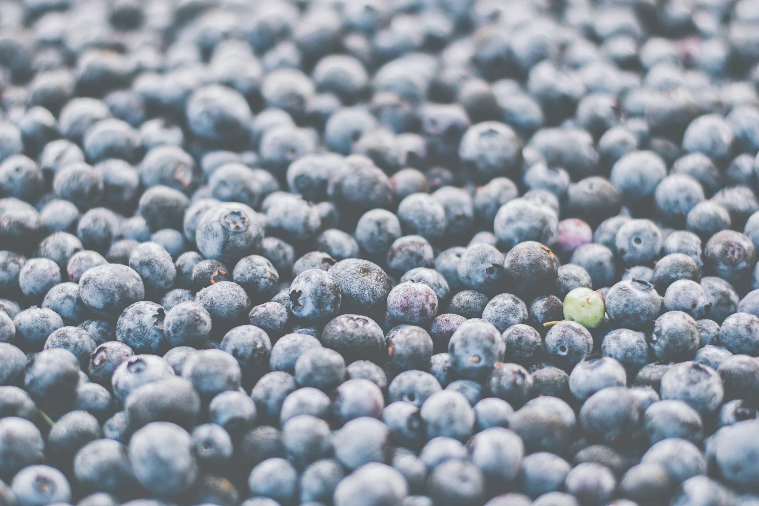 Den perfekten Skill finden - Skills Teil 3 - Heidelbeeren, Blaubeeren